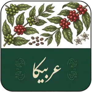 خرید قهوه تازه رست از کارخانه | رست تخصصی قهوه خلیفه کافی